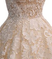 photo Delicate Floral Lace Backless Deep V-Neck Party Dress by OASAP, color Beige - Image 3